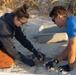 Camp Lejeune EMD Excavates and Inventories Sea Turtle nests on Onslow Beach