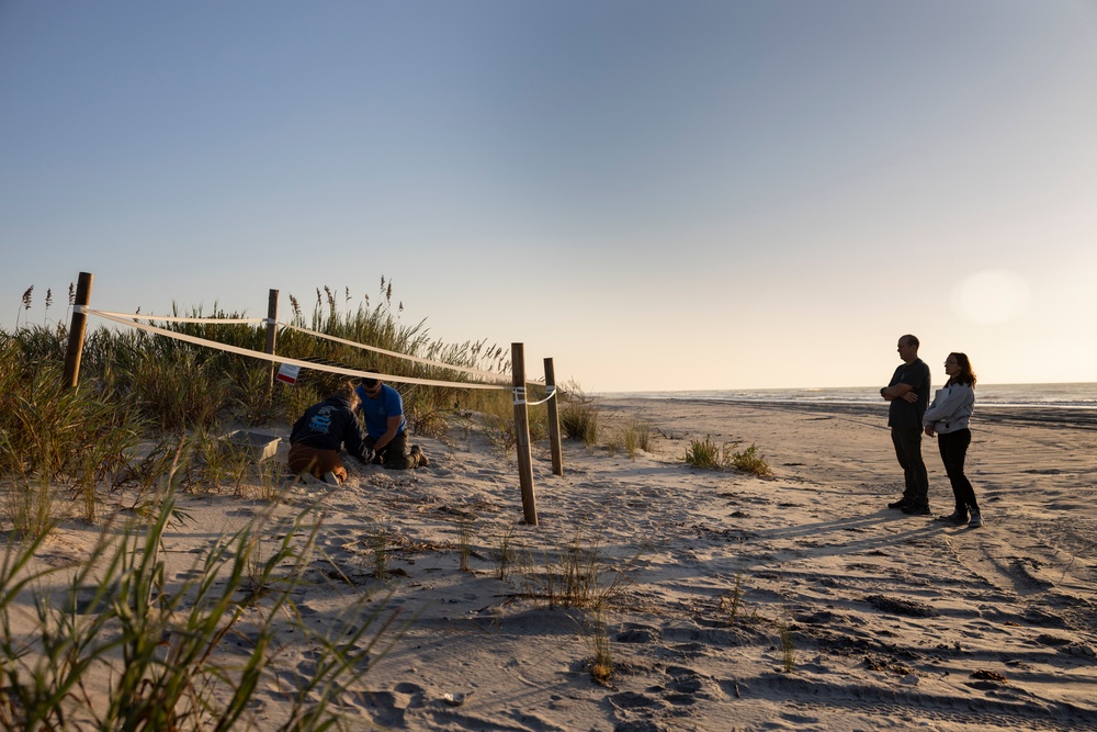 Camp Lejeune EMD Excavates and Inventories Sea Turtle nests on Onslow Beach