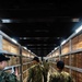 USS Ronald Reagan (CVN 76) Sailors tour Buddhist temples during port visit