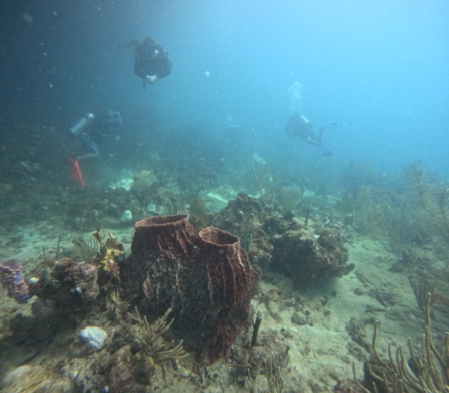 Weekend salvage operations successful for Bonnie G Response off St. Thomas 