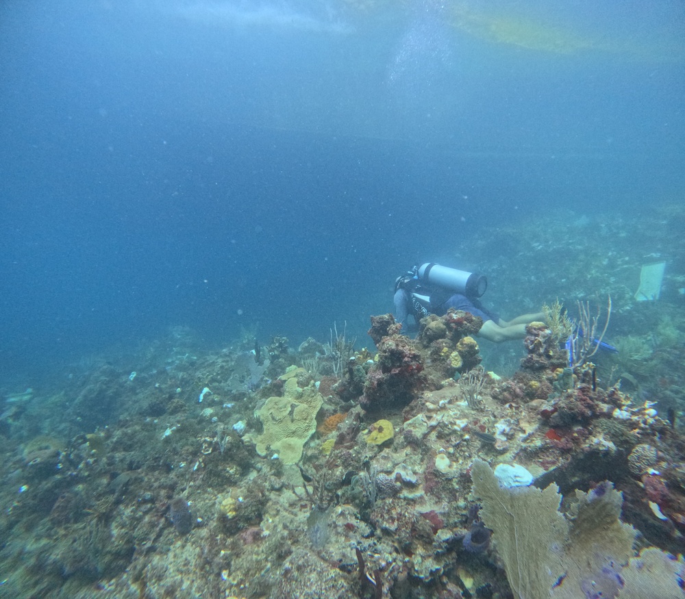 Weekend salvage operations successful for Bonnie G Response off St. Thomas 