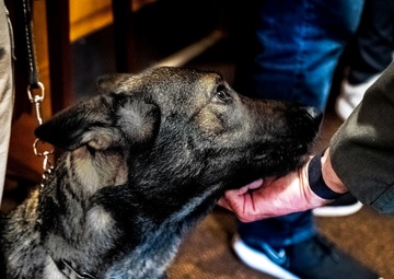 Service Members find hope in Sean's Room