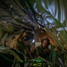 171st Air Refueling Wing Readiness Exercise