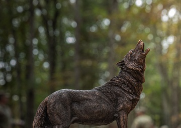 Warriors of the 3-304th's Wolf Cup