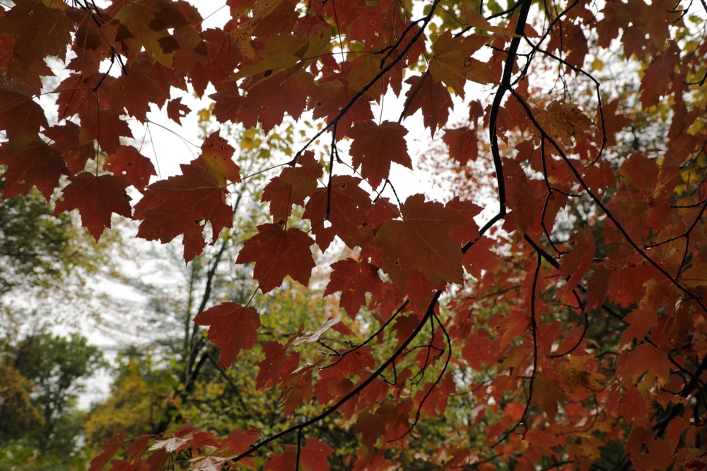 Fall 2023 Scene at Trout Falls at Fort McCoy's Pine View Recreation Area