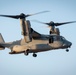 Marines and Pjs conduct hoist training