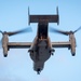 Marines and Pjs conduct hoist training