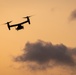 Marines and Pjs conduct hoist training