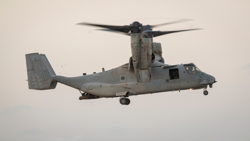 Marines and Pjs conduct hoist training