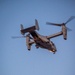 Marines and Pjs conduct hoist training