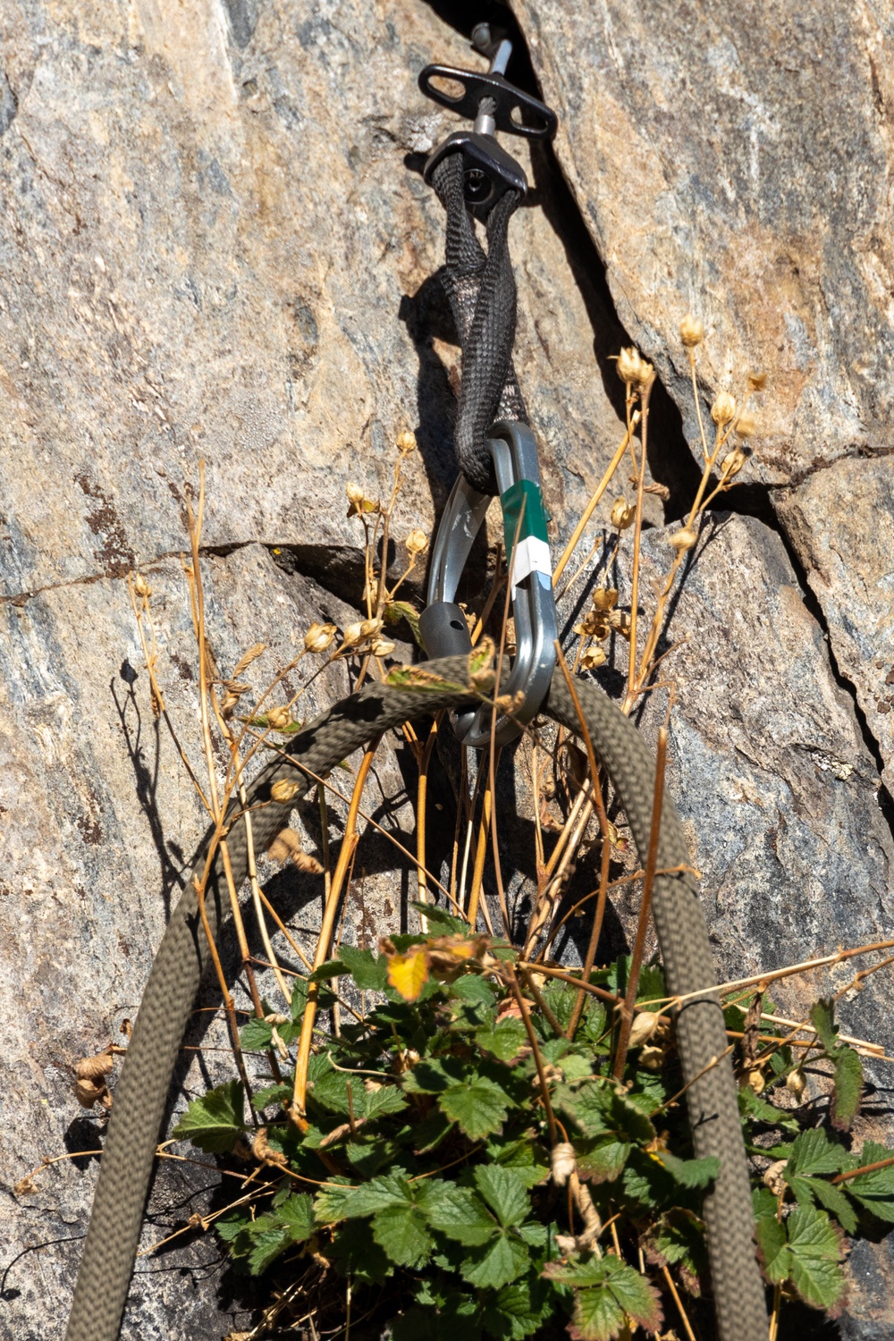 Marines with the Mountain Leaders Course climb and rappel down ‘Big Face’ during MTX 1-24