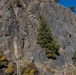 Marines with the Mountain Leaders Course climb and rappel down ‘Big Face’ during MTX 1-24
