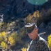 MAGTFC, MCAGCC commanding general visits Marines during MTX 1-24