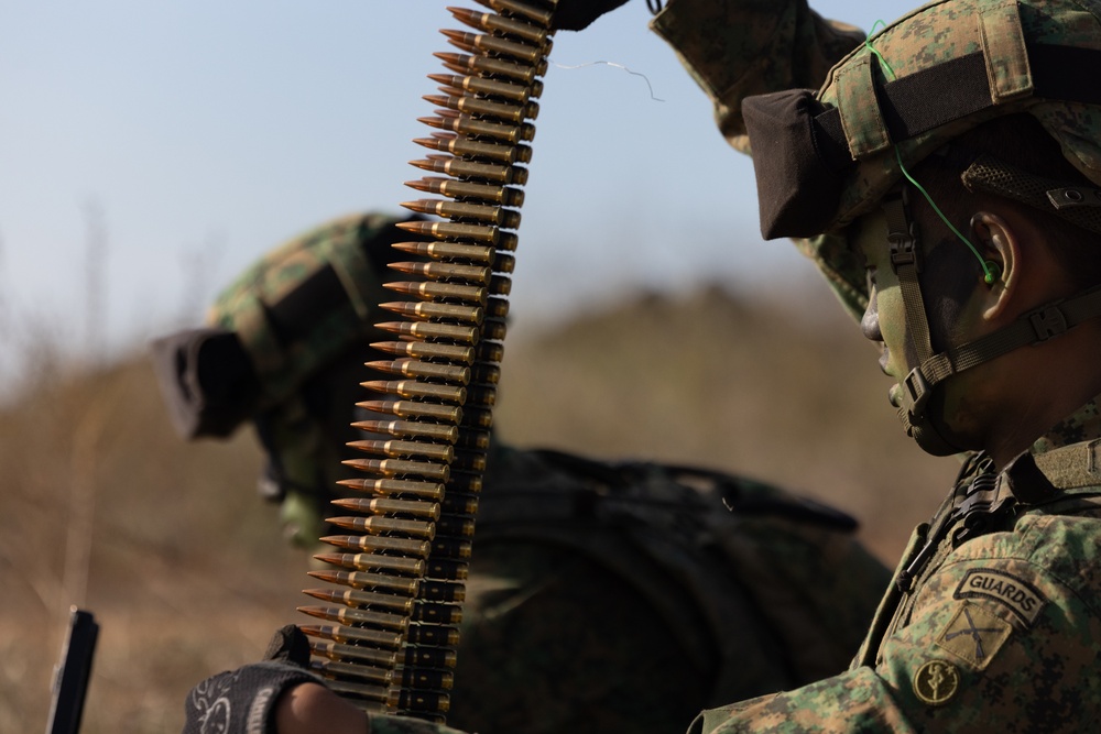 Valiant Mark 2023: Company Live Fire