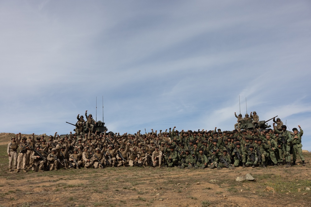 Valiant Mark 2023: Company Live Fire