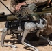 U.S. Marines test fire the M72 LAW with a Robotic Goat