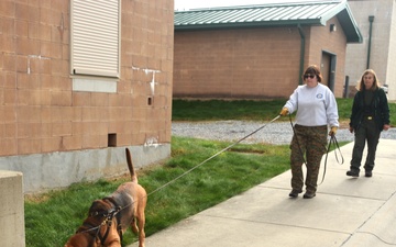 Canine search-and-rescue teams train at Fort Indiantown Gap