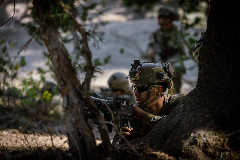 2/5 Marines conduct a patrol and simulated cliff assaults during MTX 1-24