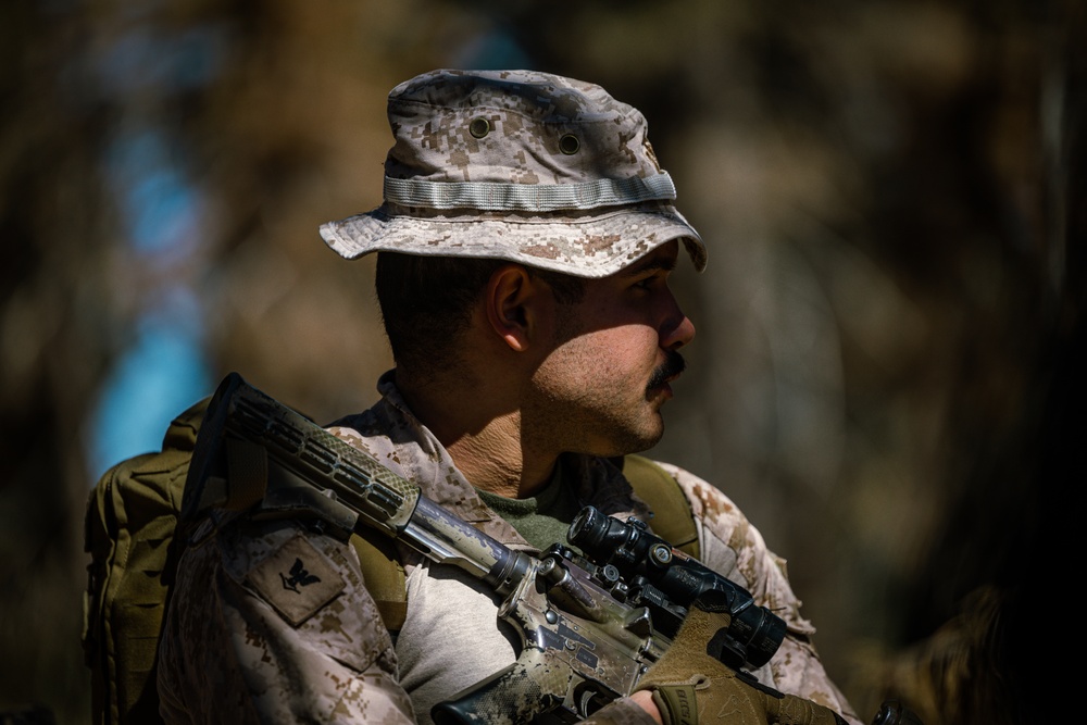Marines with 1/7 conduct patrols at Big Bear Recreational Center in preparation for mountian warfare training