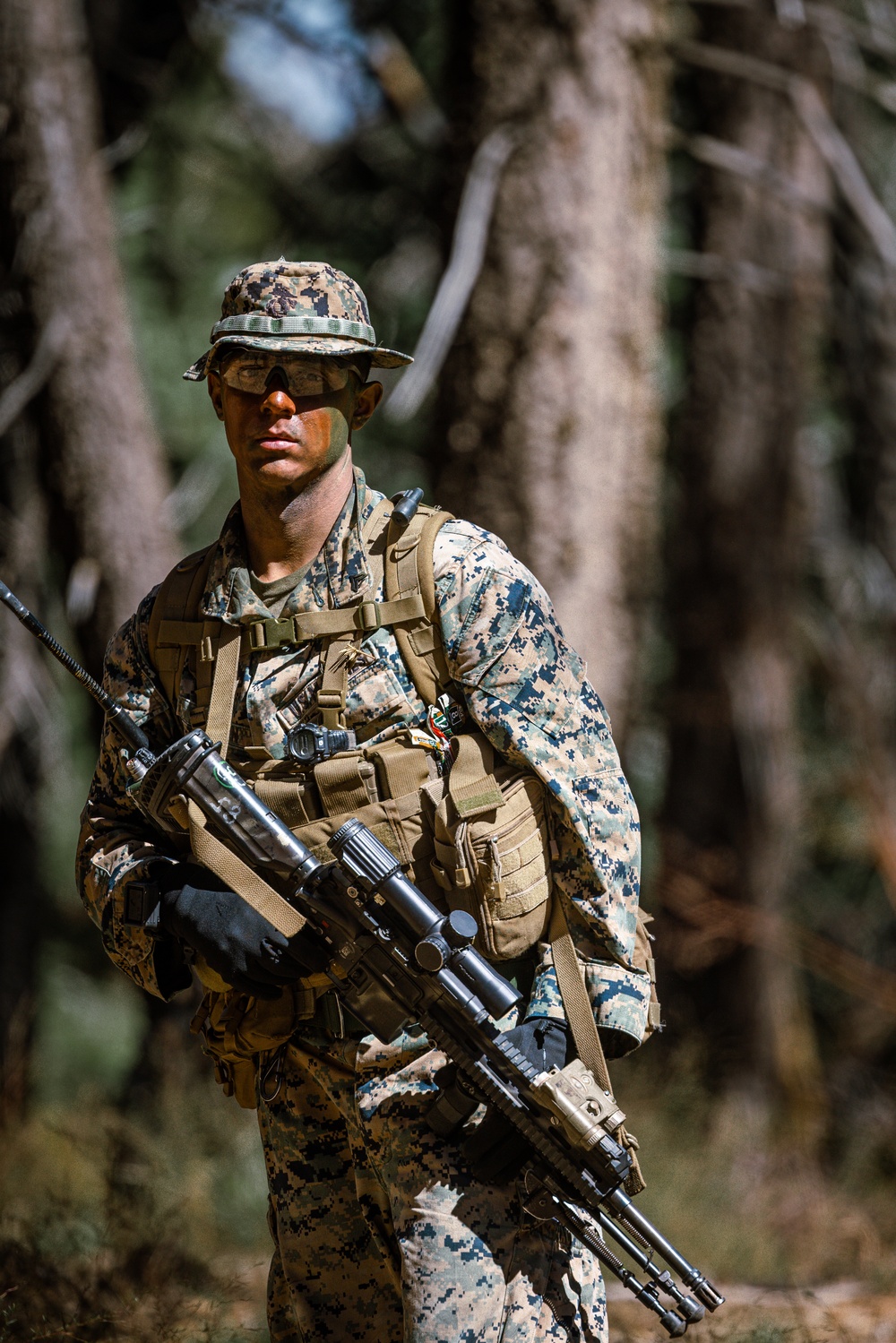 Marines with 1/7 conduct patrols at Big Bear Recreational Center in preparation for mountian warfare training