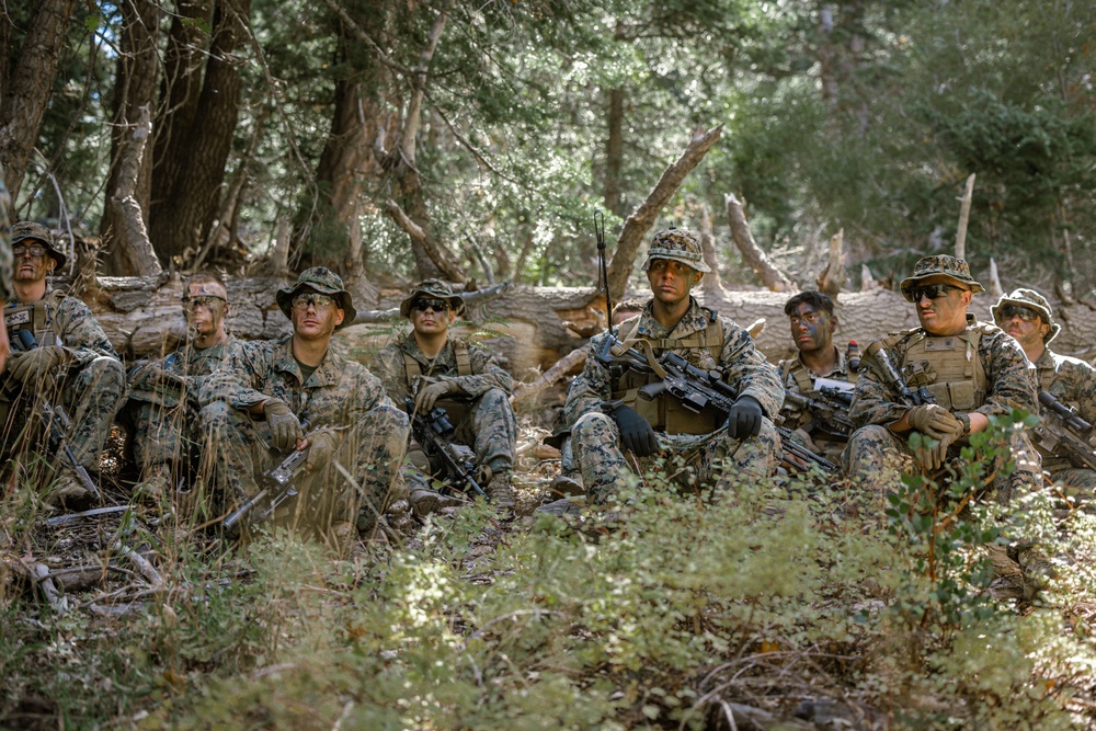 Marines with 1/7 conduct patrols at Big Bear Recreational Center in preparation for mountian warfare training