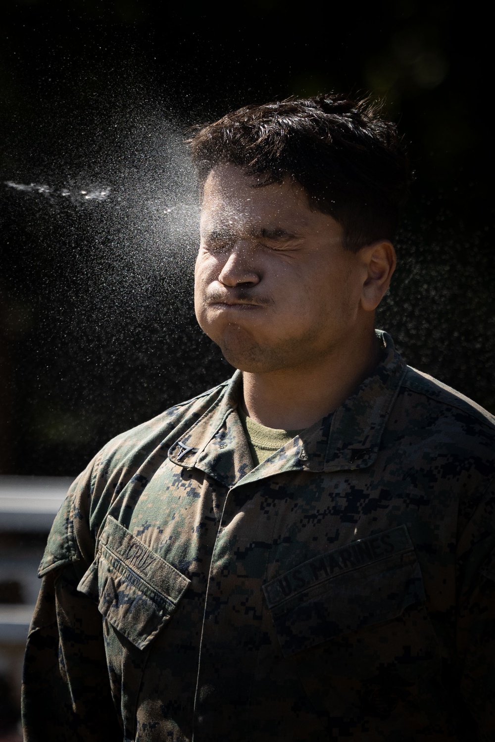 DVIDS - Images - BLT 1/8 Marines Conduct OC Spray Course [Image 10 of 22]
