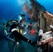 Diver works to excavate downed WWII aircraft