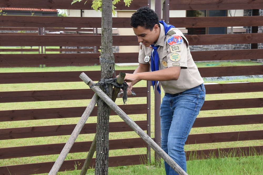 Scouting for a greener future: Scouts take care of trees on USAG Humphreys