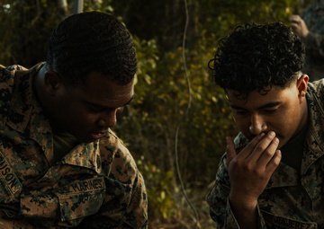 2d Marine Division Tests Capabilities During HF-STORM