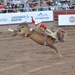 Pikes Peak or Bust Rodeo honors military members