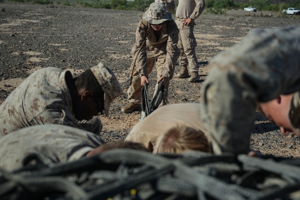 CH-53 helicopters provide air support