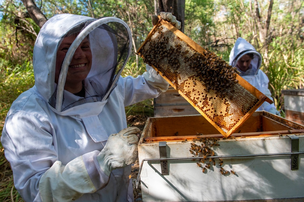 Volunteer Beekeepers Tend to Hives at Pacific Missile Range Facility