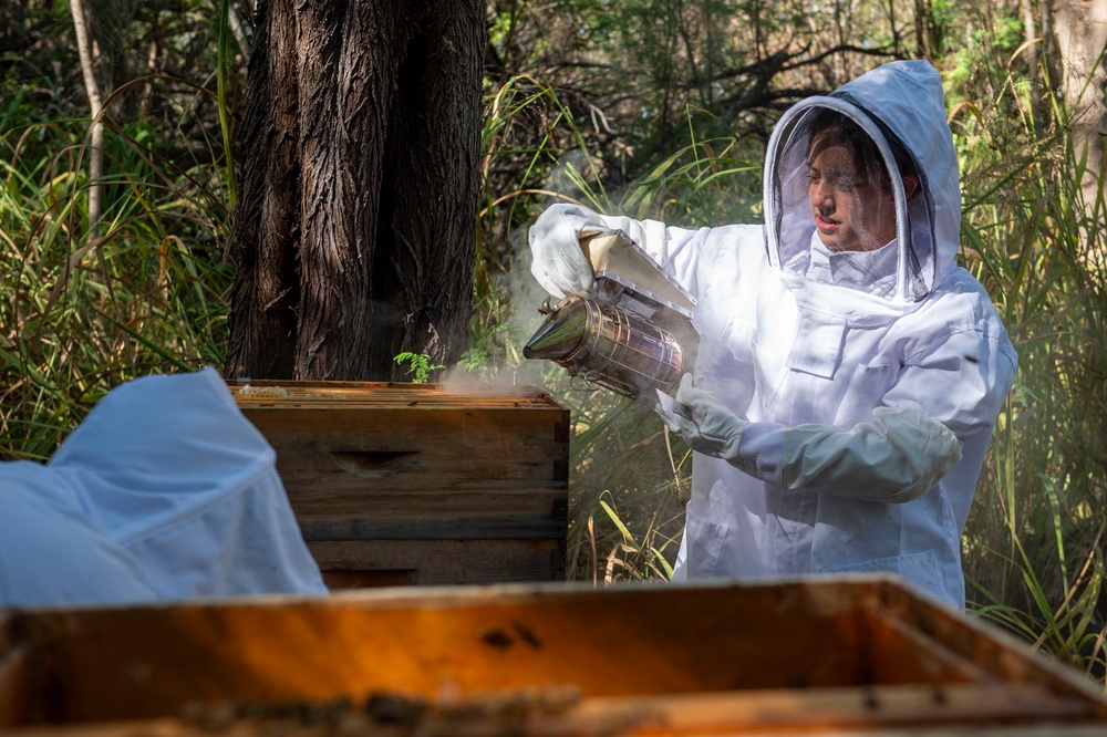 Volunteer Beekeepers Tend to Hives at Pacific Missile Range Facility