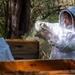 Volunteer Beekeepers Tend to Hives at Pacific Missile Range Facility