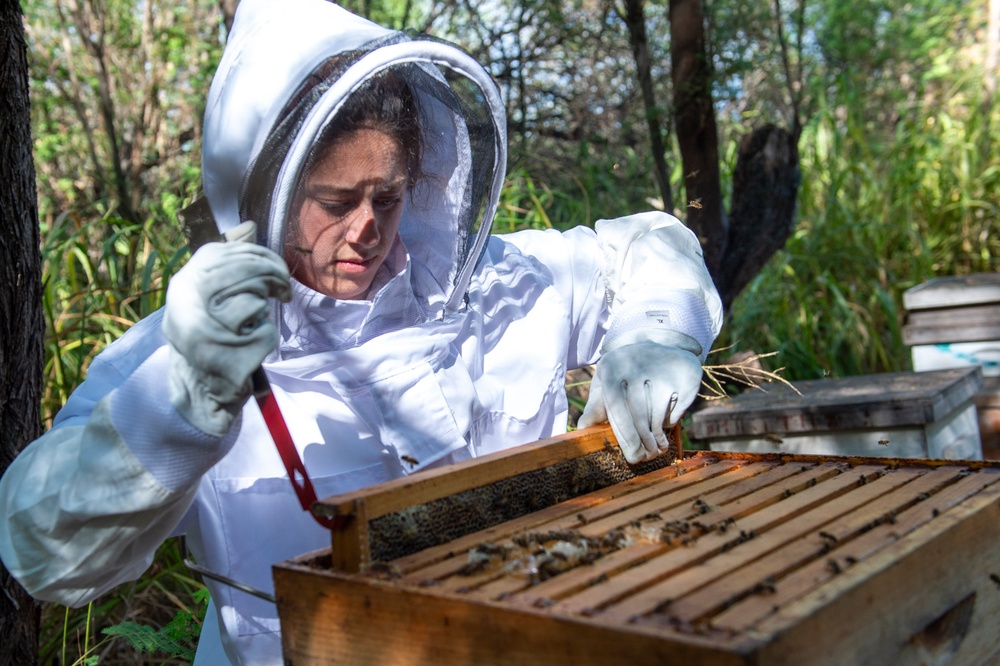 Volunteer Beekeepers Tend to Hives at Pacific Missile Range Facility