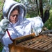 Volunteer Beekeepers Tend to Hives at Pacific Missile Range Facility