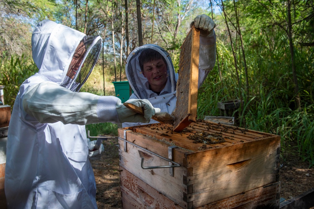 Volunteer Beekeepers Tend to Hives at Pacific Missile Range Facility