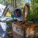 Volunteer Beekeepers Tend to Hives at Pacific Missile Range Facility