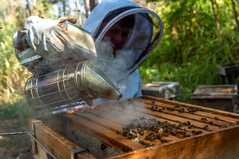 Volunteer Beekeepers Tend to Hives at Pacific Missile Range Facility