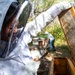 Volunteer Beekeepers Tend to Hives at Pacific Missile Range Facility