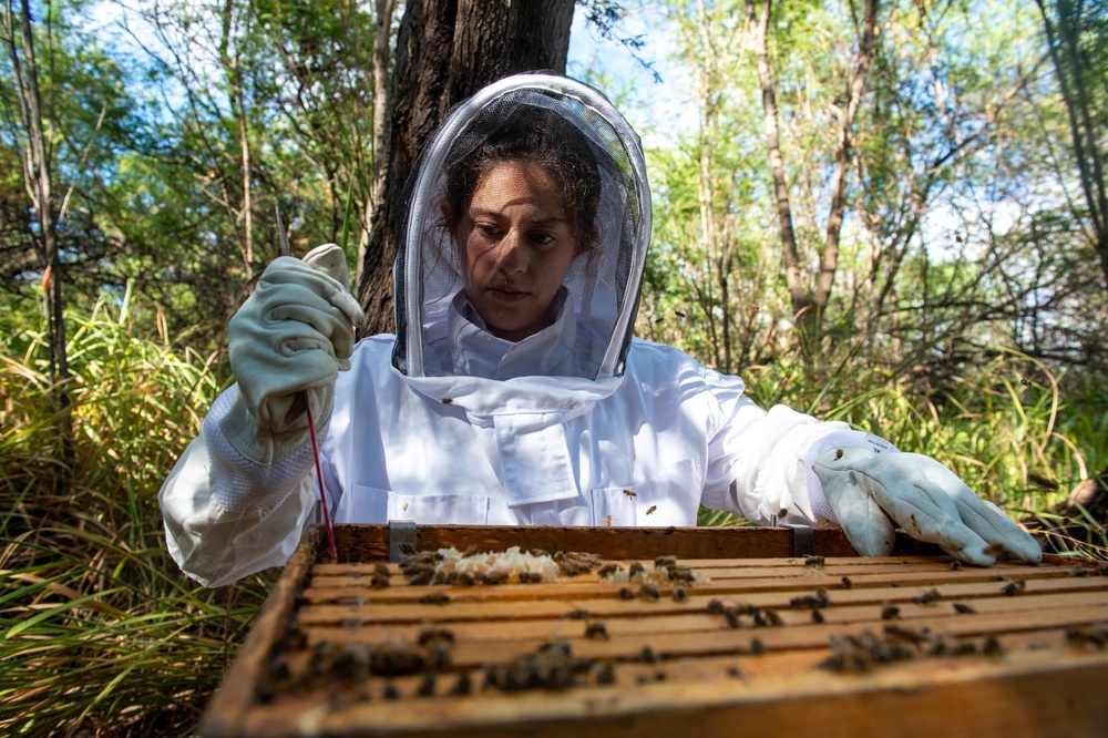 Volunteer Beekeepers Tend to Hives at Pacific Missile Range Facility