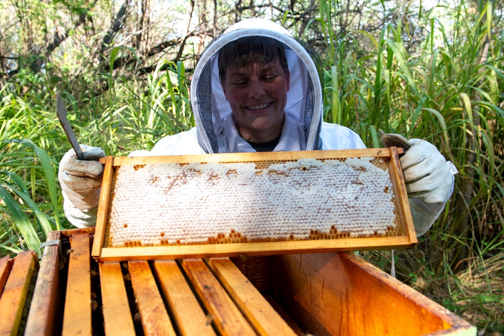 Volunteer Beekeepers Tend to Hives at Pacific Missile Range Facility