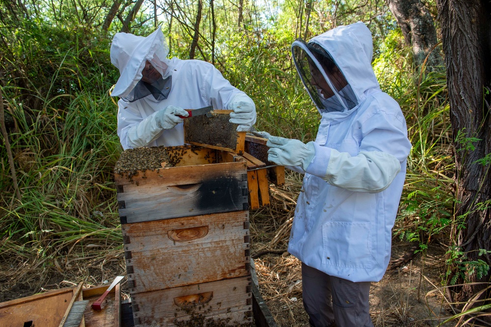 Volunteer Beekeepers Tend to Hives at Pacific Missile Range Facility