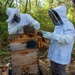 Volunteer Beekeepers Tend to Hives at Pacific Missile Range Facility