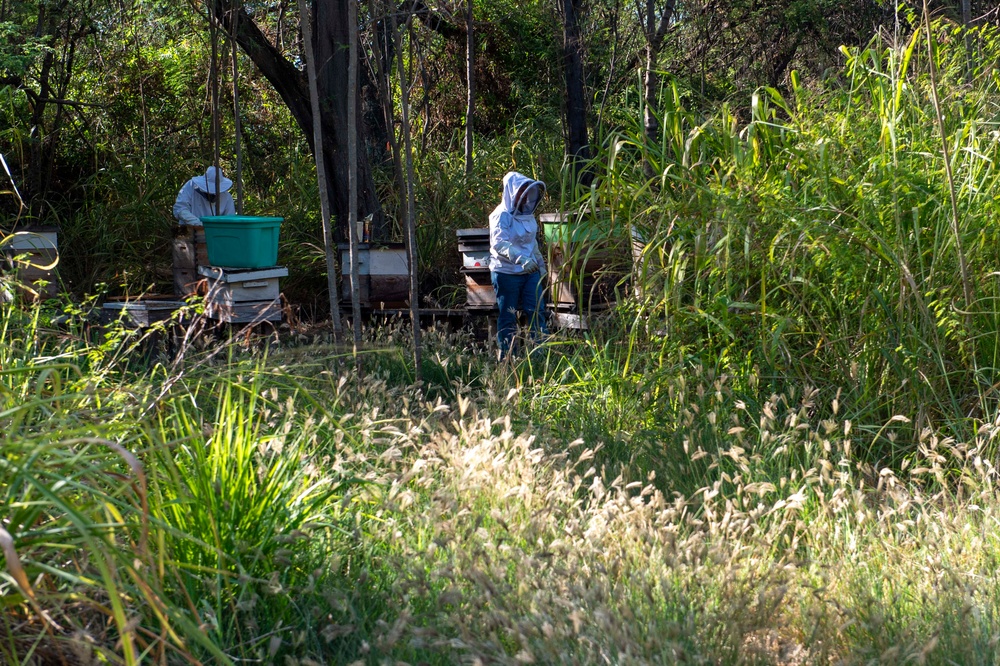 Volunteer Beekeepers Tend to Hives at Pacific Missile Range Facility