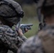 BLT 1/8 Marines Conduct Familiarization Fire and Riot Control Formations