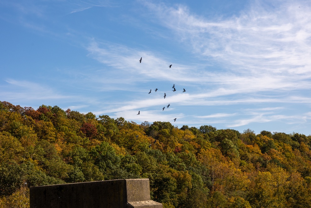 From the Classroom to Conemaugh: A Hands-On Journey in Dam Engineering