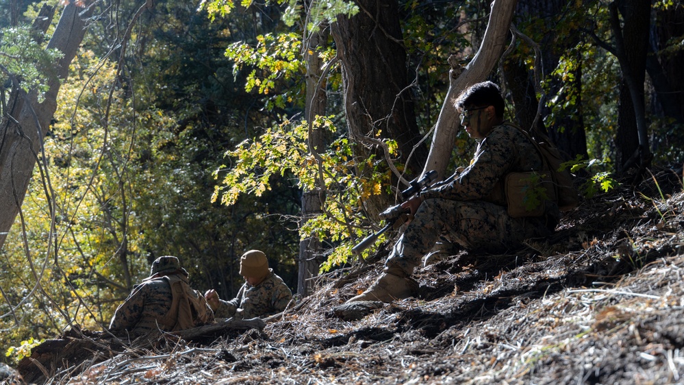 1/7 challenges it's Marines in mountainous enviroment at Big Bear Lake