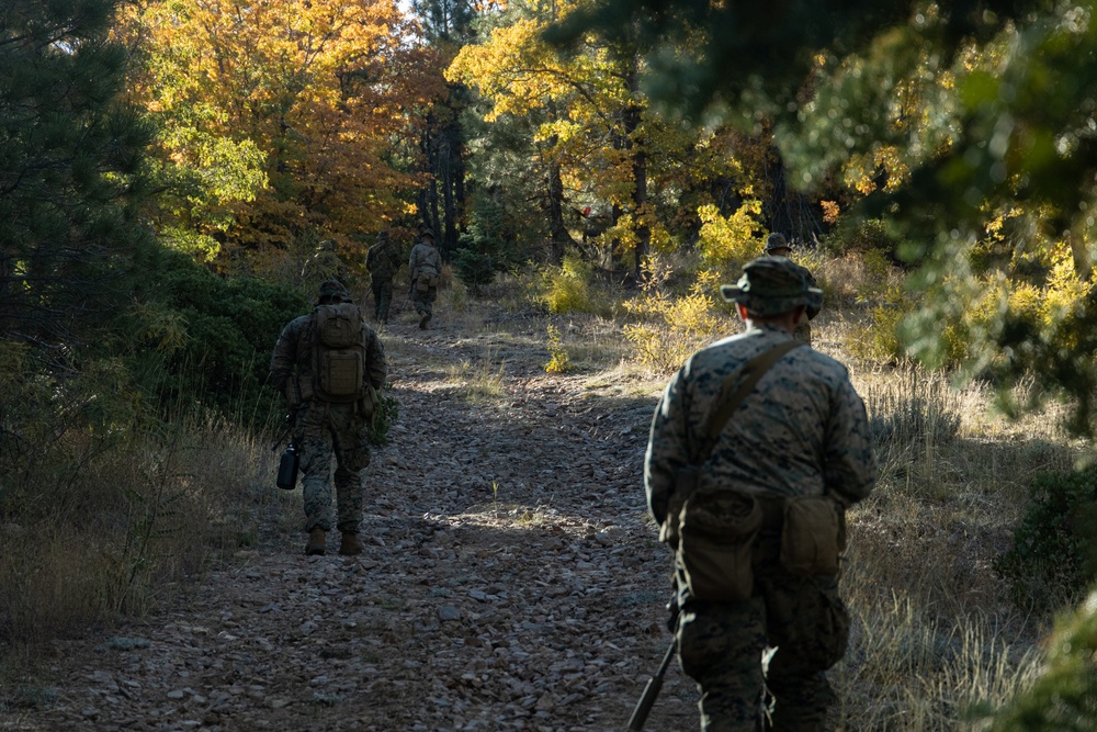 Marines with 1/7 conduct patrols at Big Bear recreational center in preparation for mountain warfare training