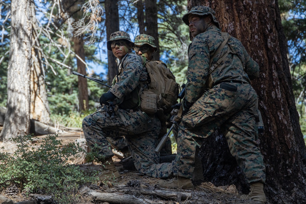 Marines with 1/7 conduct patrols at Big Bear recreational center in preparation for mountain warfare training